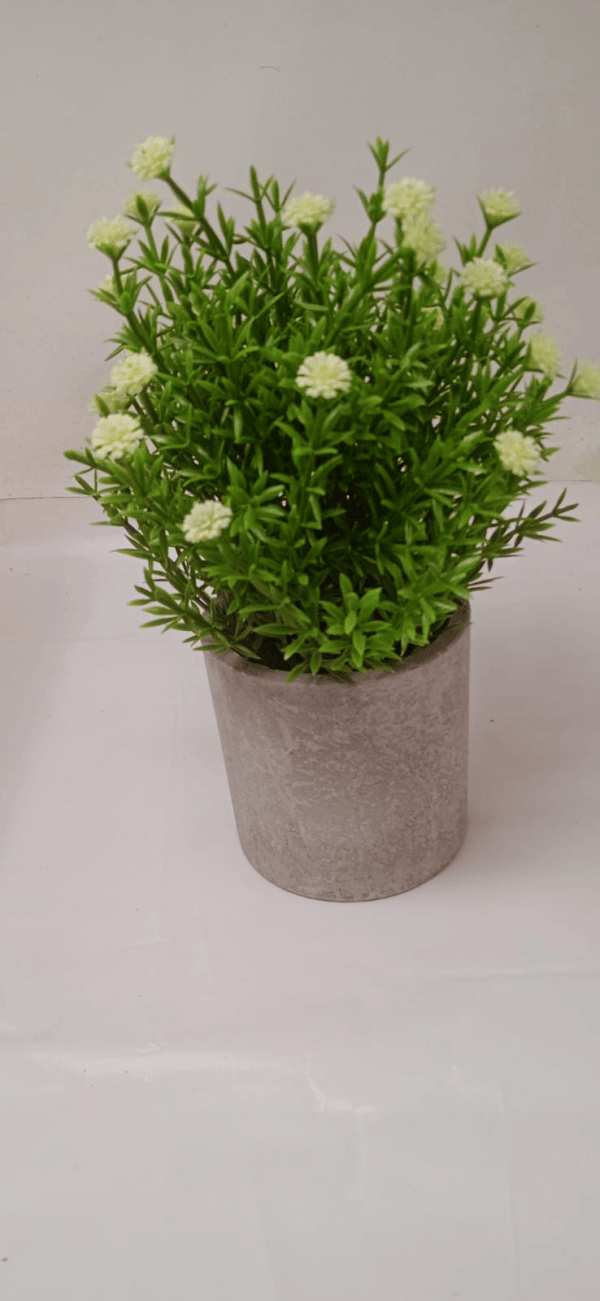 Table Top Planter With Beautiful Small Flowers