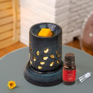 AuraDecor Electric Diffuser Gift set