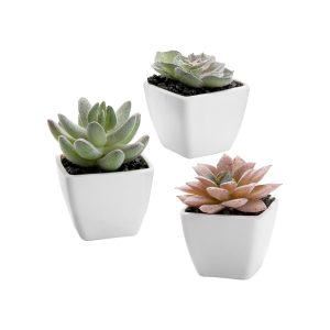 Cute Real Looking Succulent Plant In A White Planter