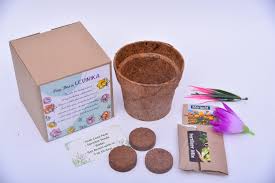 The Gift Tree Grow Kit ? A Sustainable Gift That Blossoms with Time