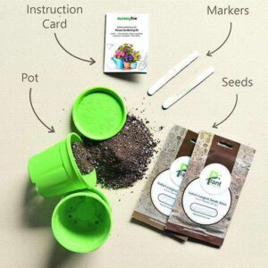 The Gift Tree Mini Gardening Kit ? Grow, Nurture, Inspire