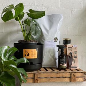 The Gift Tree Premium Indoor Plant Care Kit ? Nurture Nature, Elevate Spaces