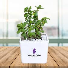 The Gift Tree Personalized Plant Pot Gift ? Grow Connections, Naturally